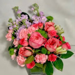 Seller Image